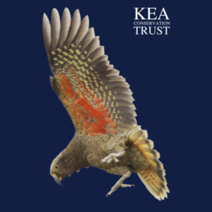 In Flight Kea Trust Design