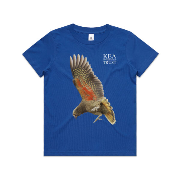 Kea in Flight - youth tee Thumbnail