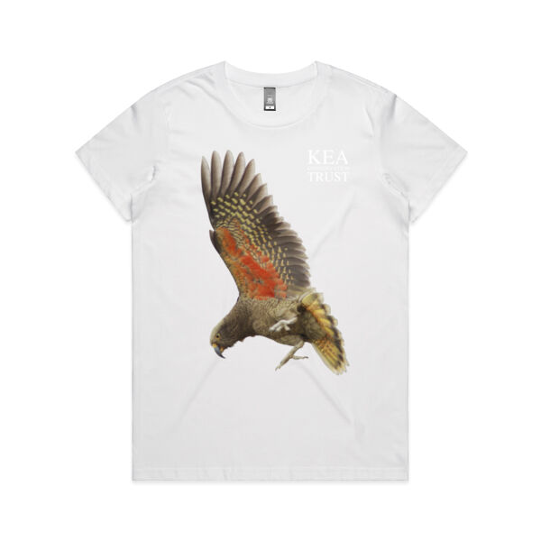 In Flight Kea Trust Thumbnail