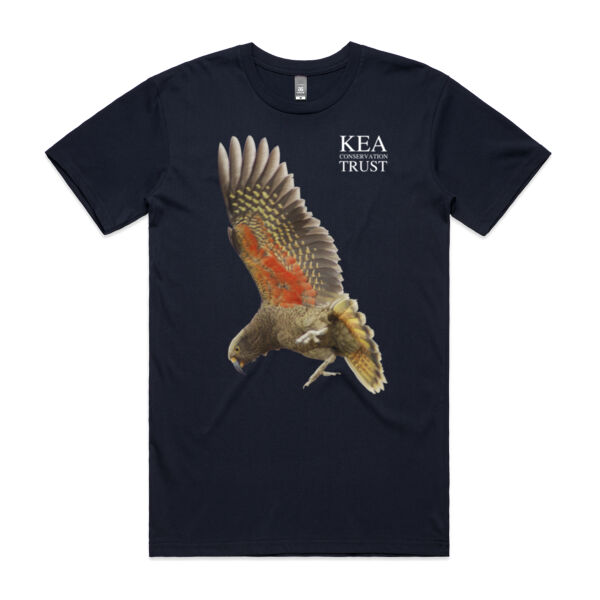 In Flight Kea Trust Thumbnail